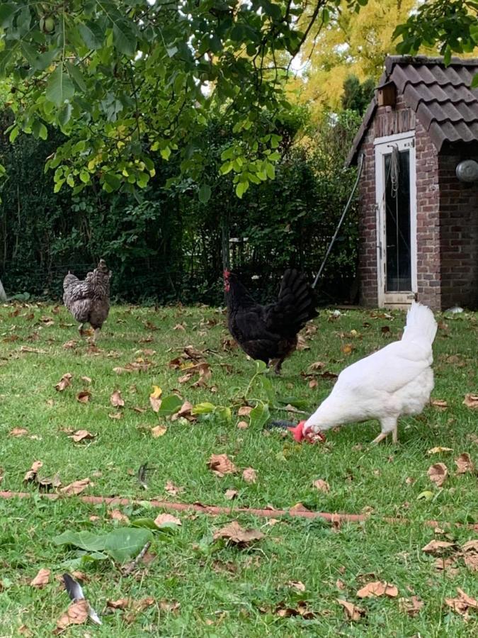 Leuk Vakantiehuisje 6P برونسوم المظهر الخارجي الصورة